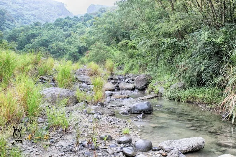 花蓮豐濱鄉磯崎部落‬一起飛魚磯崎‬‬原民料理生活技能部落傳統舞蹈晚宴活動