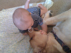 Little boy and his dog friend (24 pics), dog and baby friends pics, cute dog pics, adorable photos of baby and dog
