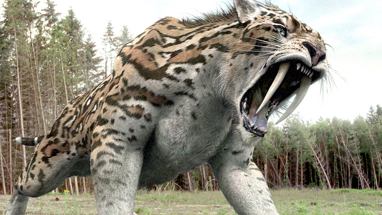Gambar Dinosaurus Makhluk Purba 9 Binatang Prasejarah 4 