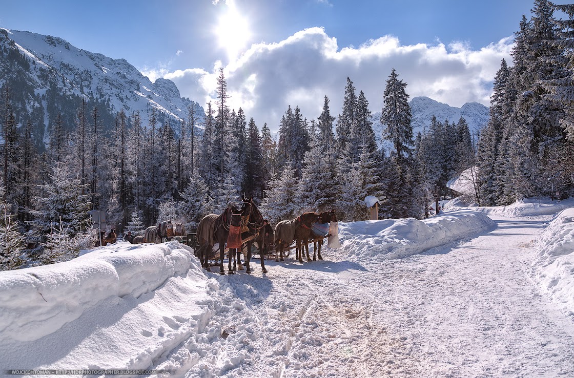 Resting horses on a way to Morskie Oko