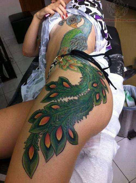 Peacock Tattoos