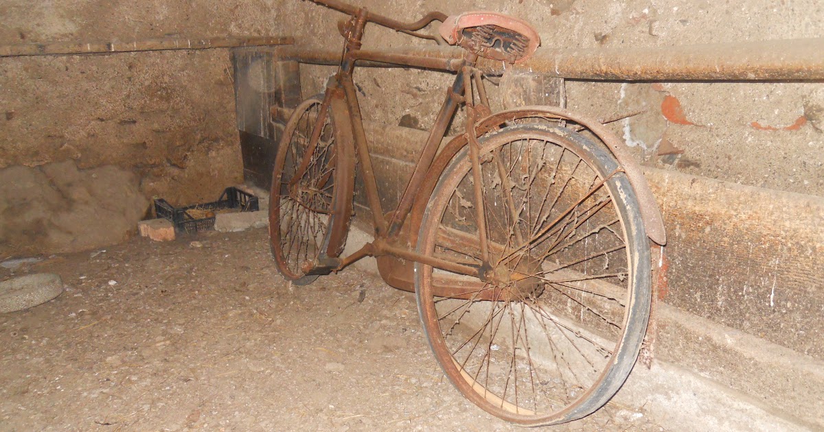 bicicletta appoggiata macchina