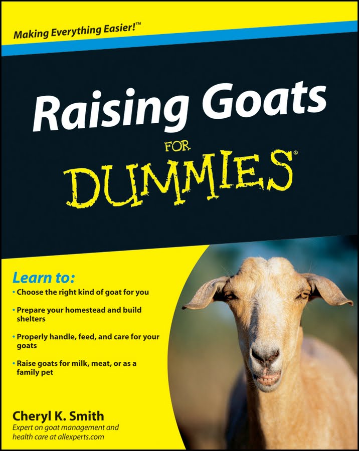 Goat Health Care Some Ruminations On Goats Raising Goats