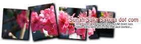 Sunah Suka Sakura dot com