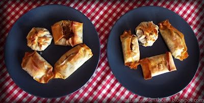 Crujientes de pasta filo con carne mechada en salsa