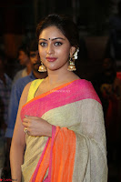 Anu Emanuel Looks Super Cute in Saree ~  Exclusive Pics 059.JPG