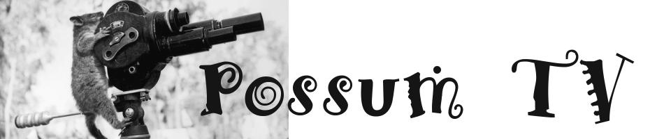 Possum TV