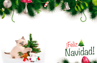 Tarjeta de Navidad de Perros y Gatos