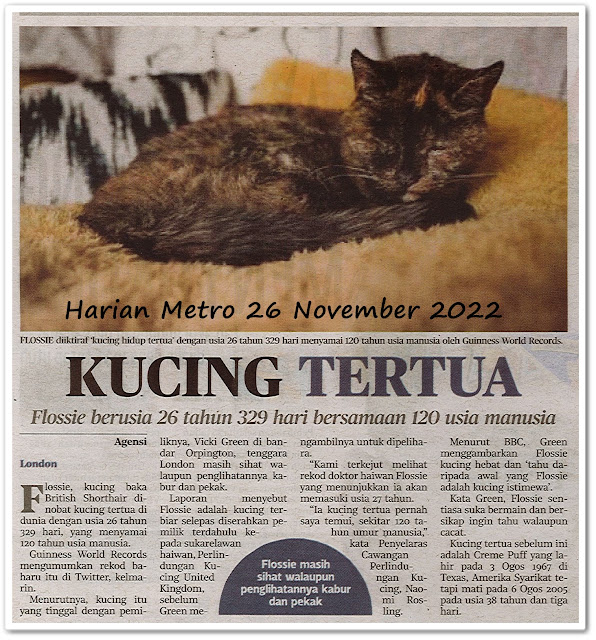 Kucing tertua ; Flossie berusia 26 tahun 329 hari bersamaan 120 usia manusia - Keratan akhbar Harian Metro 26 November 2022