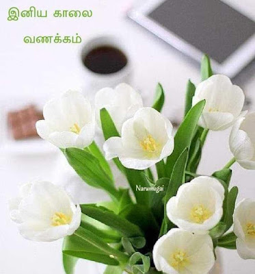 Good Morning Whatsapp Status Images In Tamil