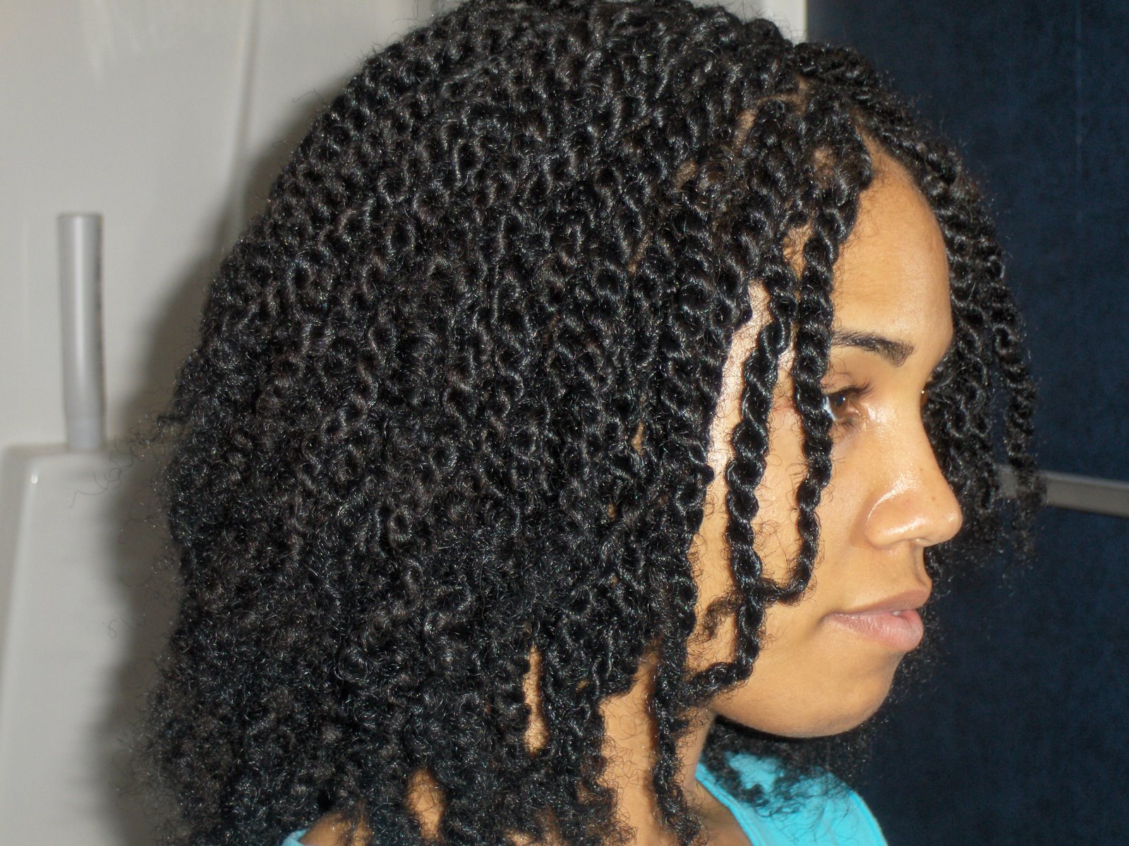 Kinky Twist Braids Hairstyles Pictures
