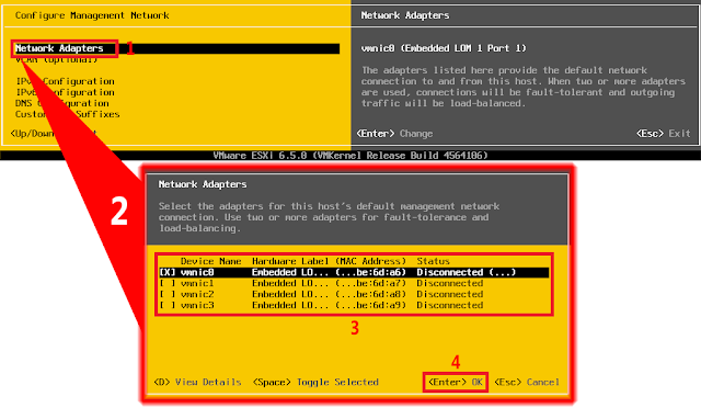 VMware 6.5.0: Adaptadores de red.