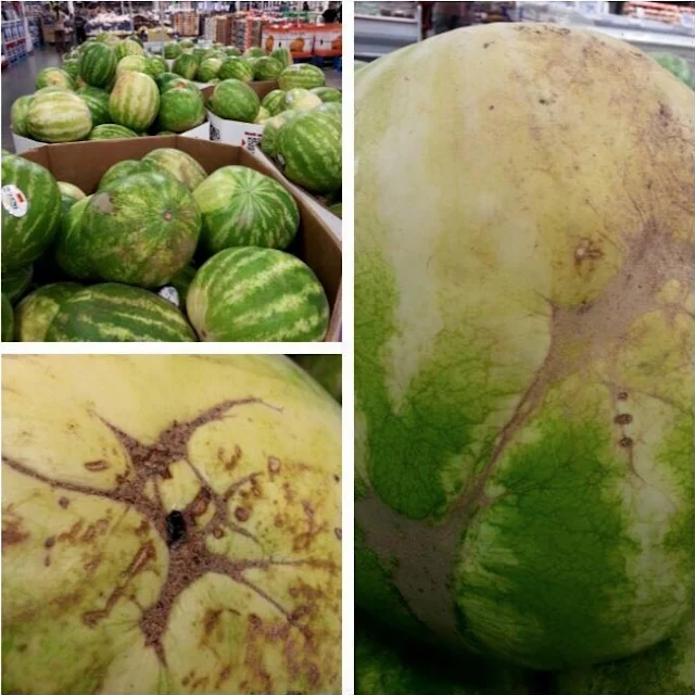 Pick The Best Watermelon