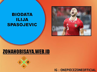 Biodata Ilija Spasojevic, Stiker Peraih Top Skor Liga Indonesia 2021-2022