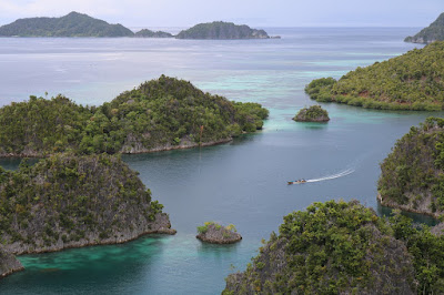 Panorama Laut Raja Ampat