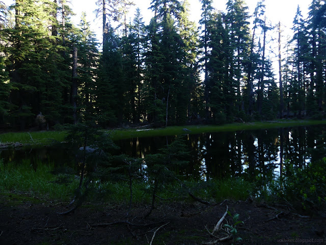 026: dark pond with light sky reflecting