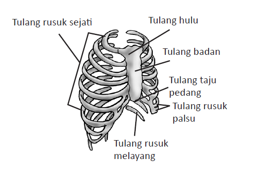 Makalah Kebidanan Konsep Manajemen Kebidanan  Share The 