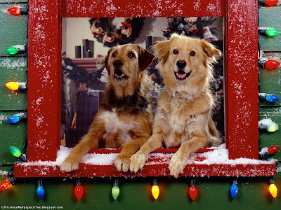 Christmas Dogs HD Desktop Wallpapers