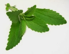 stevia-estevia-endulzante natural