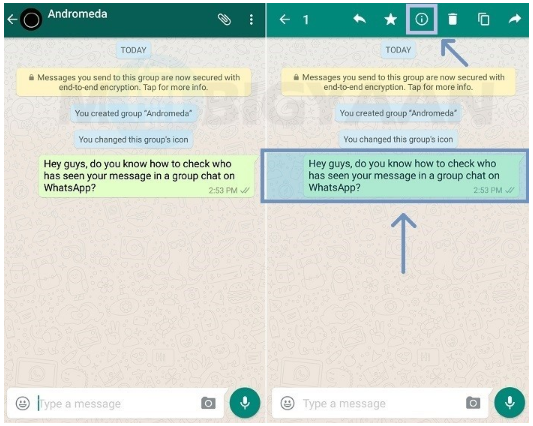 How to See Who Has Read Chat in WhatsApp Group