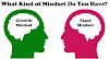 Which Type Of Mind-set Do You Have?