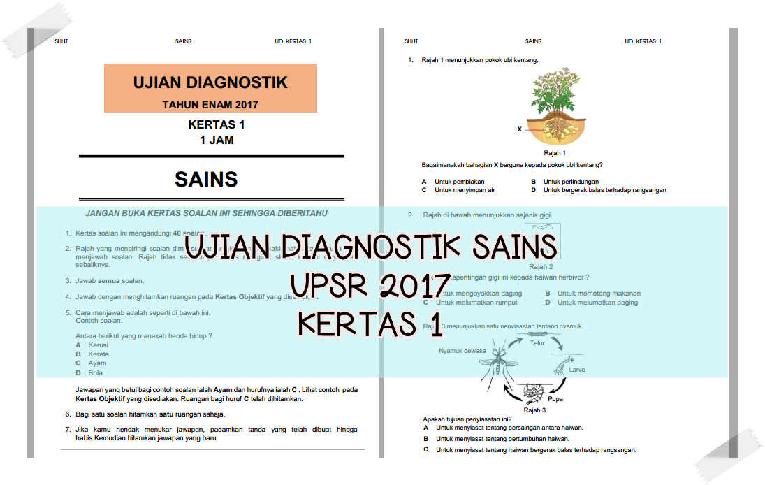 BAHAN UPSR 2016