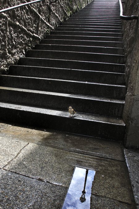 christophe jacrot fotografia cidades chuva tempo ruim Paris