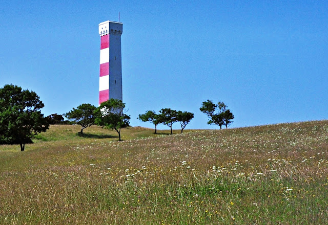 Walking to Gribbin Head