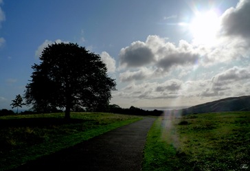 P1030167