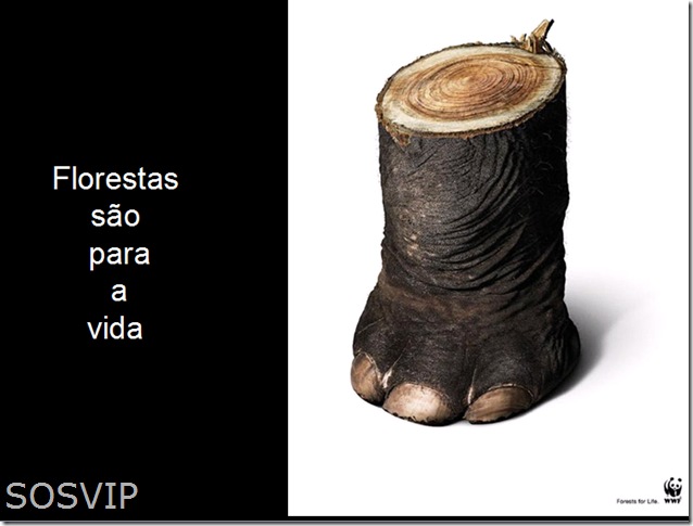 Campanha Publicitaria Conscientizacao (23)