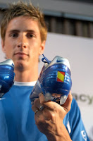 fernando torres