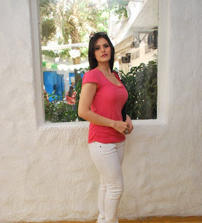 Actress Zarine Khan  hot photo in pink T-Shirt