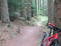 Fast flowing section of Dalby  trail - by: © Paul c Walton 