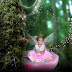 fairy wings for baby girl photoshop brushes preset free download.