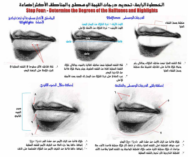 الرسم والتصوير / رسم الشفاه – الجزء الثاني – خطوة بخطوة