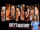 Ellen Pompeo in Greys Anatomy (TV Series) Wallpaper 1