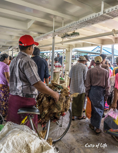 Adventure in Yangon