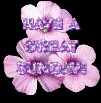 sunday_comment_06