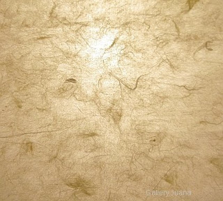 rice paper texture photograph by Gallery Juana