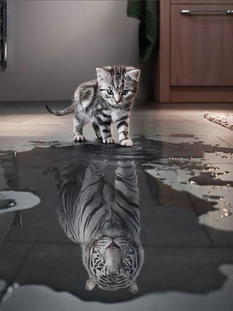 How you see yourself, is all that matters!