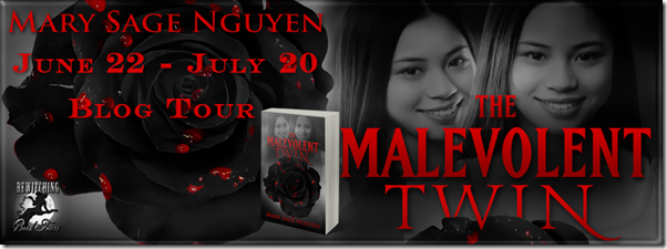 The Malevolent Twin Banner 851 x 315_thumb[1]