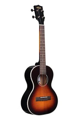 Best Beginner Ukuleles - Good, Better and Best Picks & Why Do I Recommend Tenors