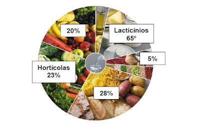 Image result for roda dos alimentos