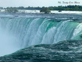 Niagara Falls - A Road Trip    by Ms. Toody Goo Shoes