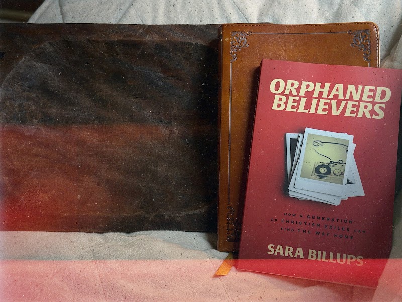 Orphaned Believers by Sara Billups: A Critic's Review