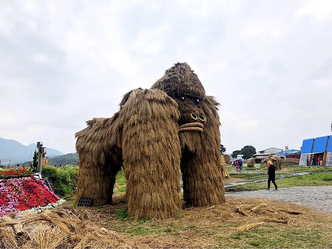 2021富里稻草藝術季｜20座巨型稻草動物超療育登場｜花蓮玉里