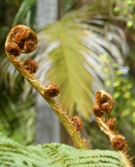P1200771