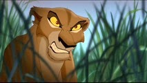 11 Zira