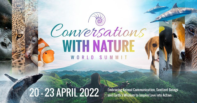 a bella e o mundo - conversations with nature - dia 1