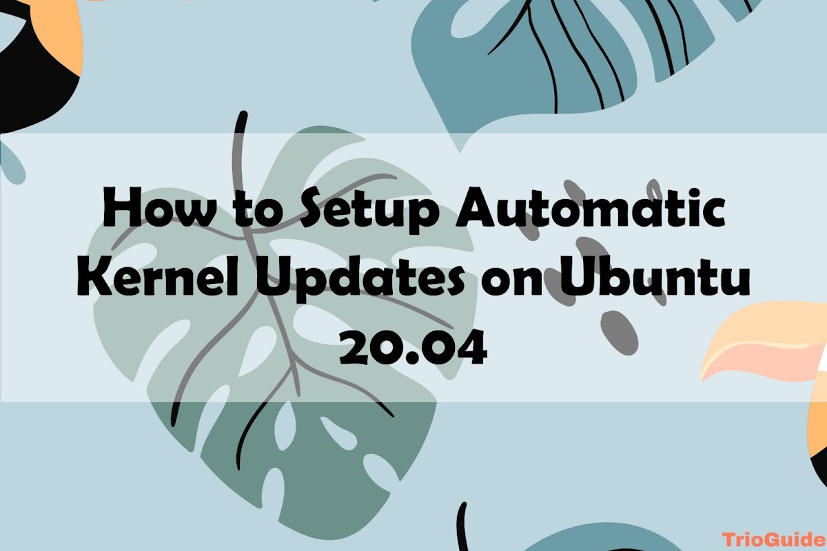 How to Setup Automatic Kernel Updates on Ubuntu 20.04: Linux